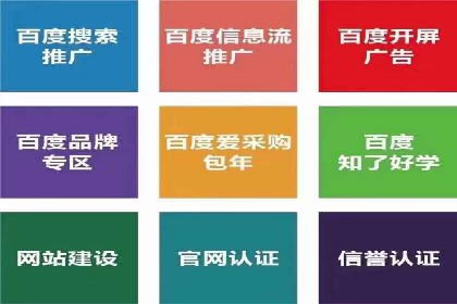 竞价广告赚钱：百度平台成功案例分析